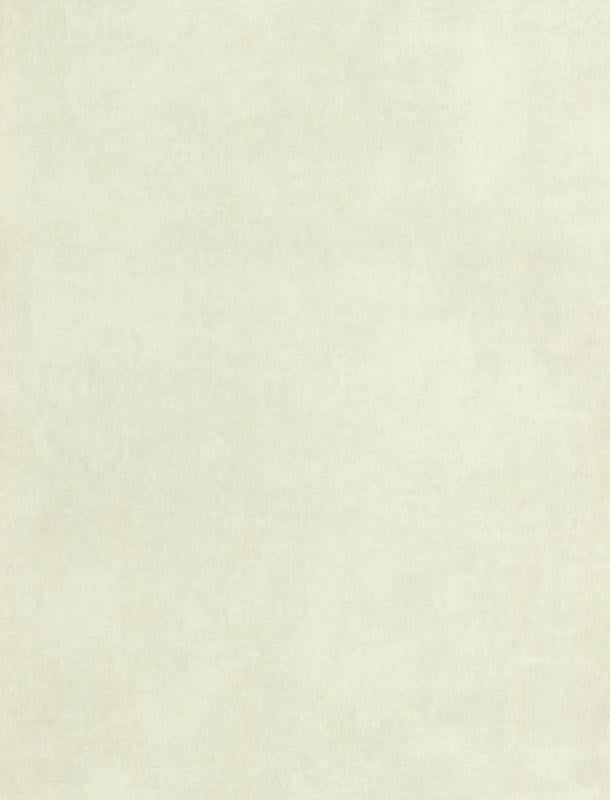  VO 419162900 