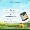  Mật ong Manuka Natural Life™  MGO 85 - Hộp 500g 