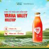  Sinh Tố Yarra Valley Hilltop vị Mâm Xôi - 1L 