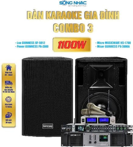 DÀN KARAOKE GIA ĐÌNH COMBO 3 - 1100W