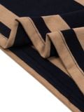  HOWS® OLD SCHOOL STRIPED LONG SLEEVE POLO / BROWN x NAVY 