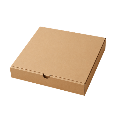  Hộp giấy pizza 20x20x4.5cm 