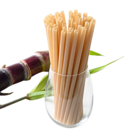  Ống hút bã mía PLA phi 6x210mm bọc màng 