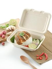  Hộp giấy bã mía FEST BIO BROWN TAKEAWAY BOX 450ml 