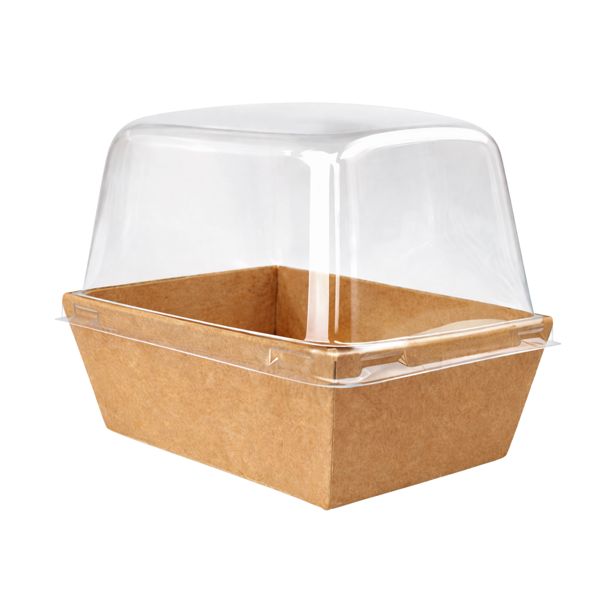  Khay giấy Kraft paper box with clear PET lid 1209 (Brown)