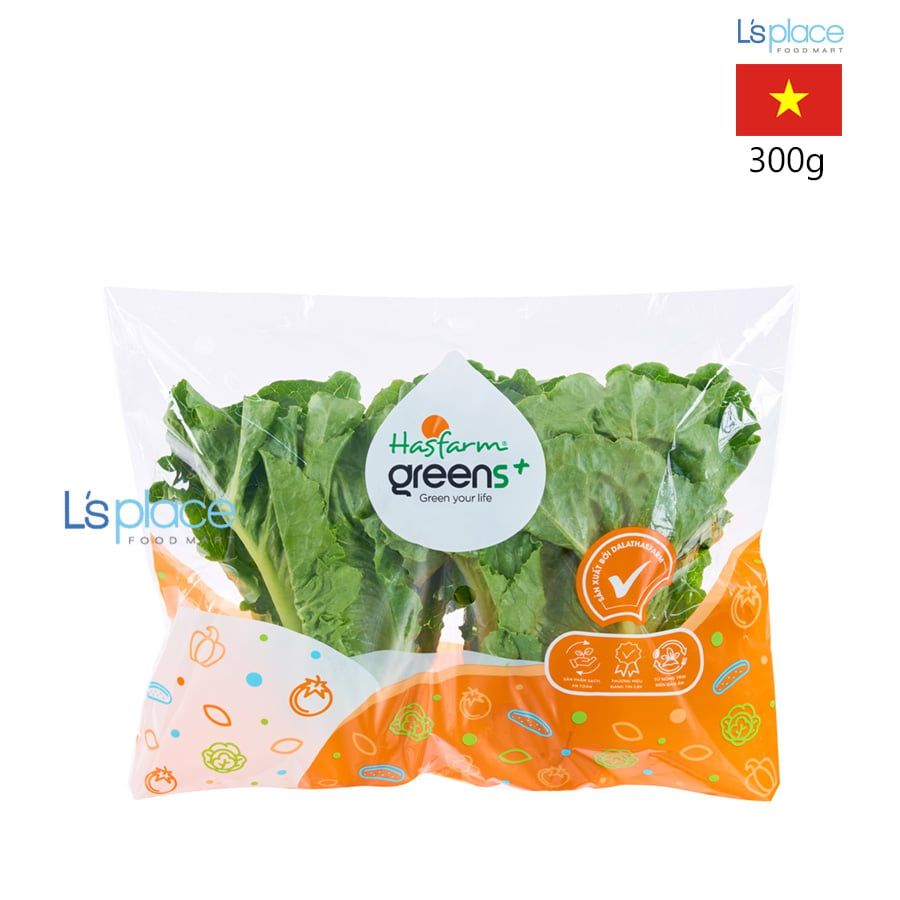 Hasfarm Xà lách Romaine