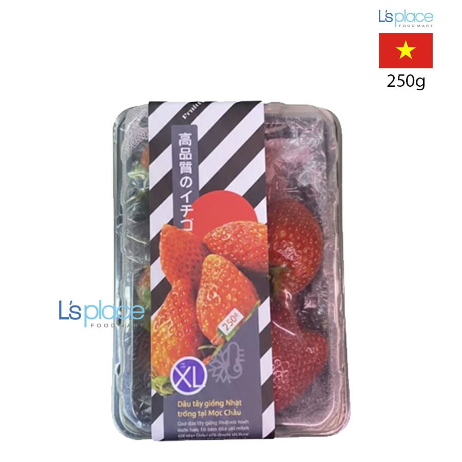 Dâu tây Nghệ Nhân giống Nhật size XL