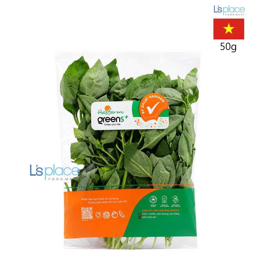 Hasfarm Quế tây (Húng quế) xanh