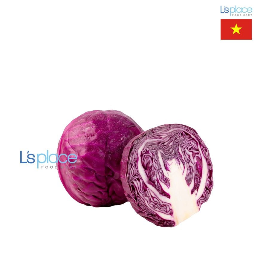 Thaieco Bắp cải tím