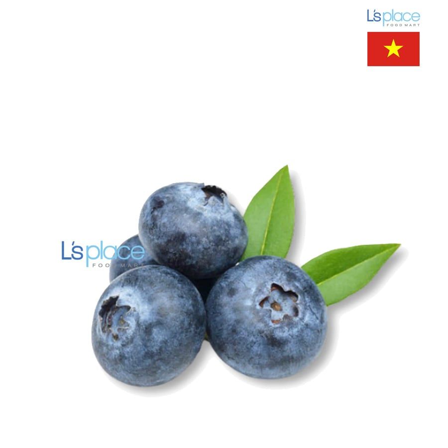 Quả Việt quất 105