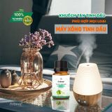  Tinh dầu cao cấp Nano Areiwa 100% thiên nhiên - Nguyên chất, an toàn, hương thơm bền lâu - Chai 10ml 
