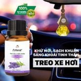  Tinh dầu cao cấp Nano Areiwa 100% thiên nhiên - Nguyên chất, an toàn, hương thơm bền lâu - Chai 10ml - Mùi ngẫu nhiên 