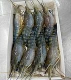  Tôm Càng Nguyên Con 