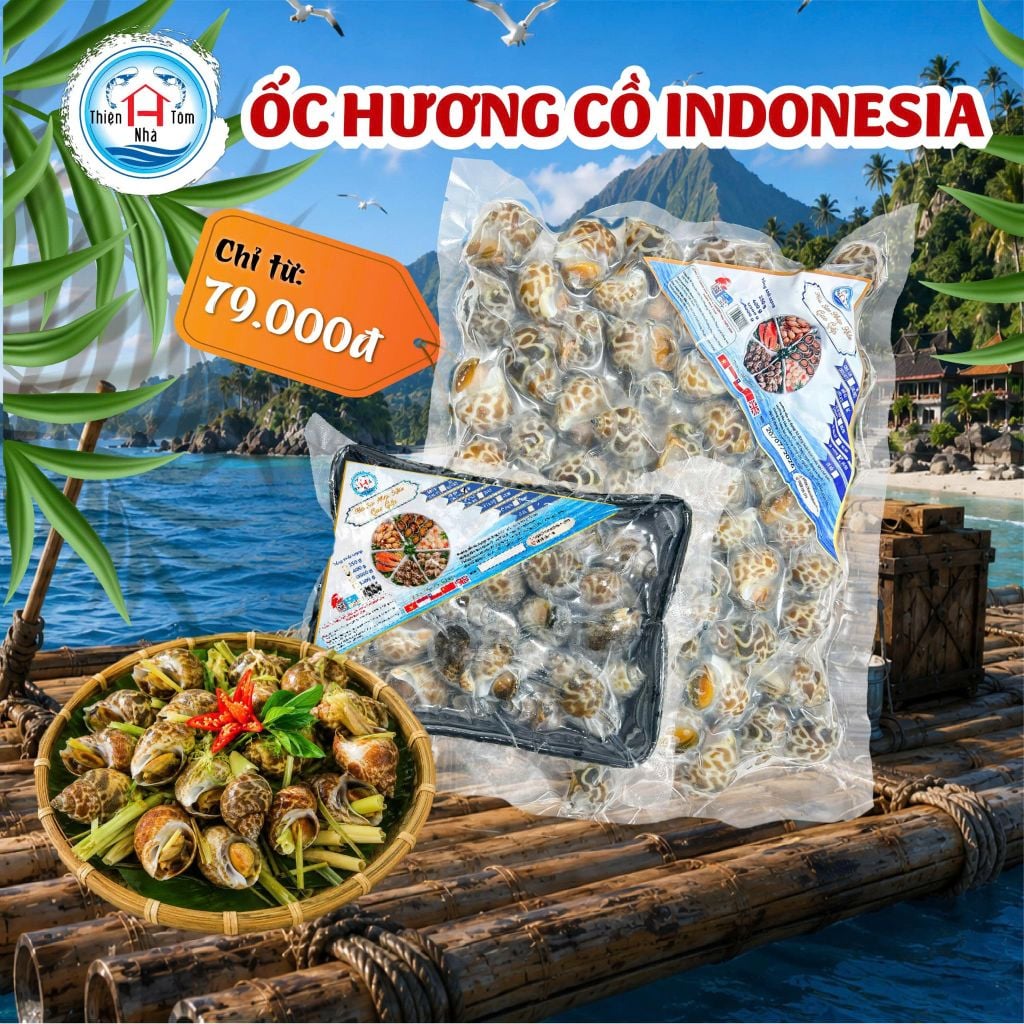  Ốc Hương Cồ Indo 