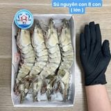  Tôm Sú Đông Siêu Tốc Hộp Lớn 