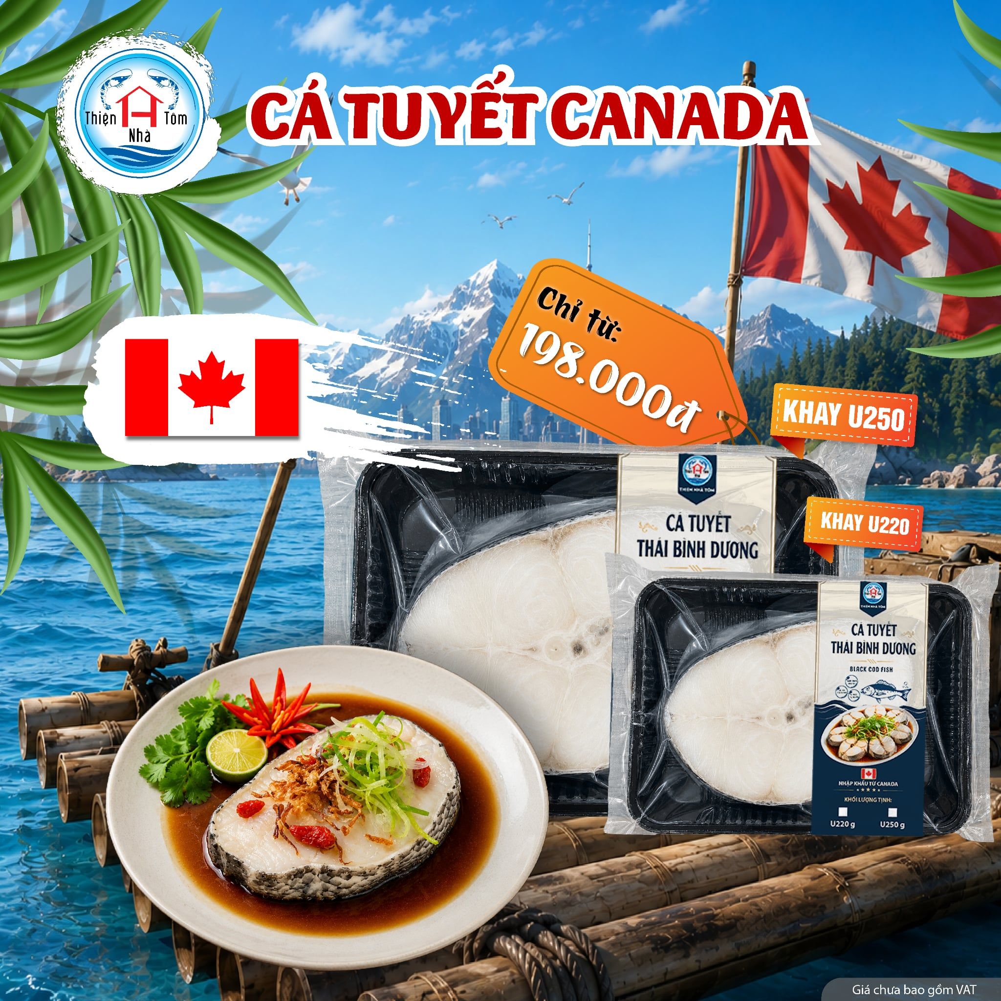  Cá Tuyết Canada 