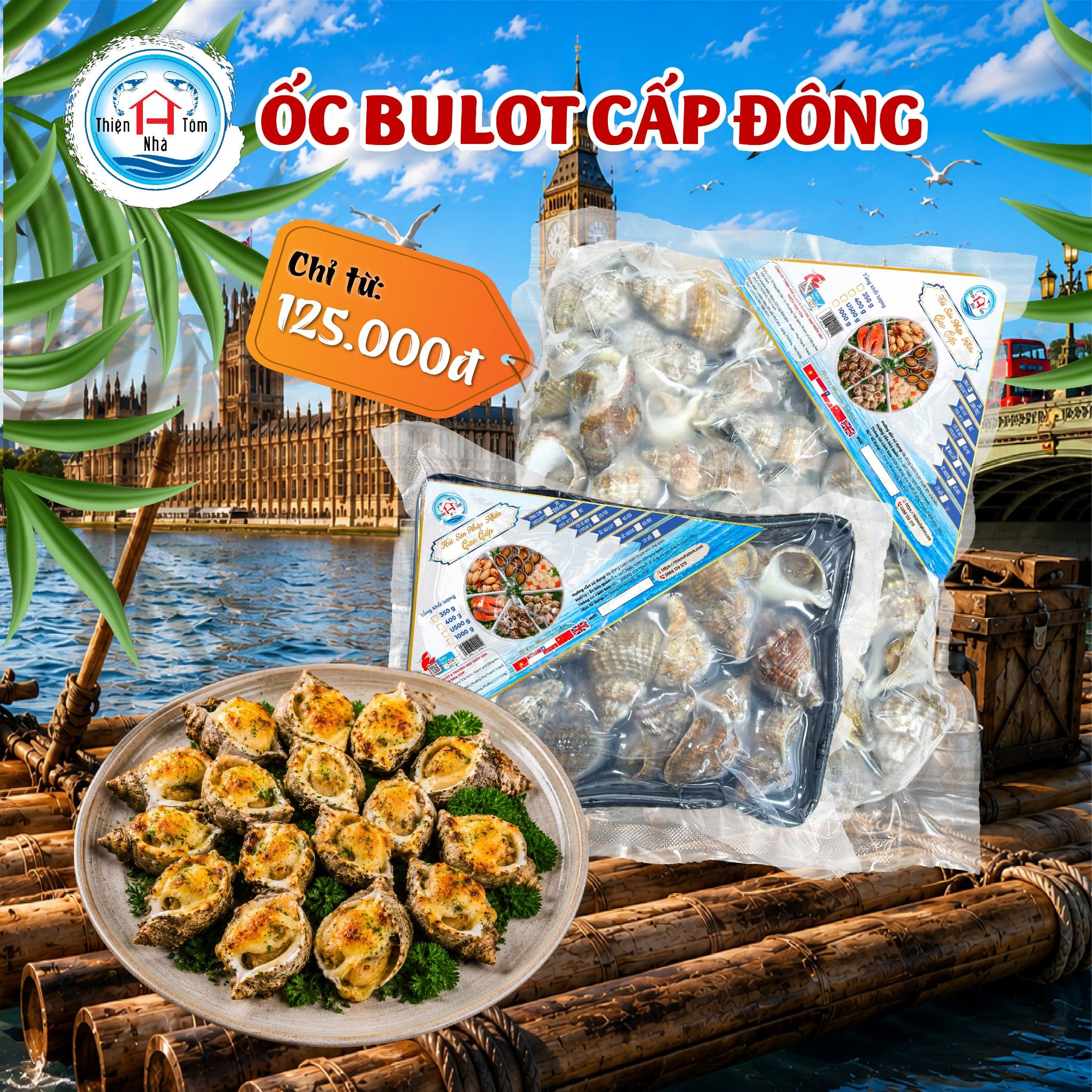  Ốc Bulot Anh Quốc 