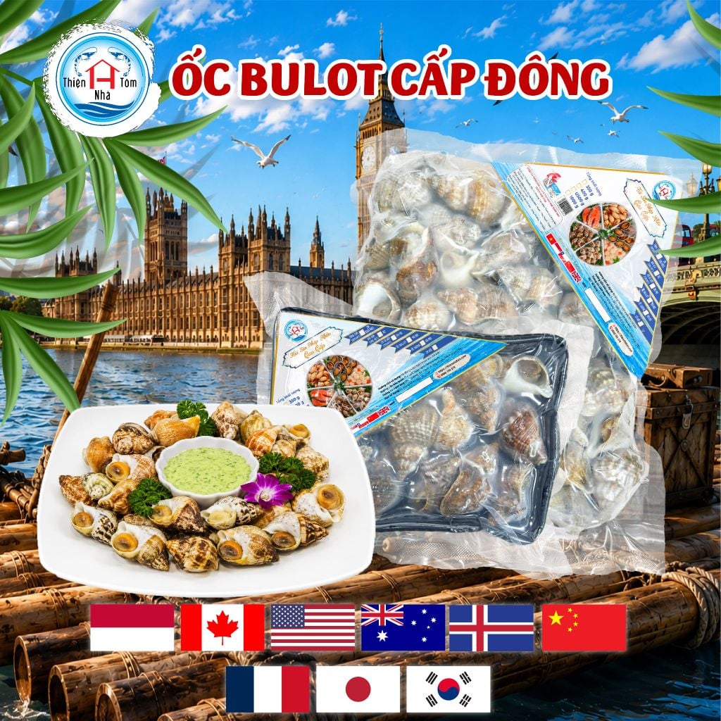  Ốc Bulot Anh Quốc 