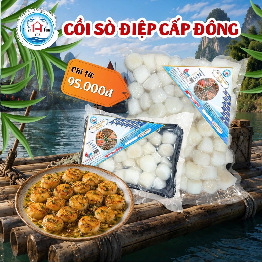  Cồi Sò Điệp 
