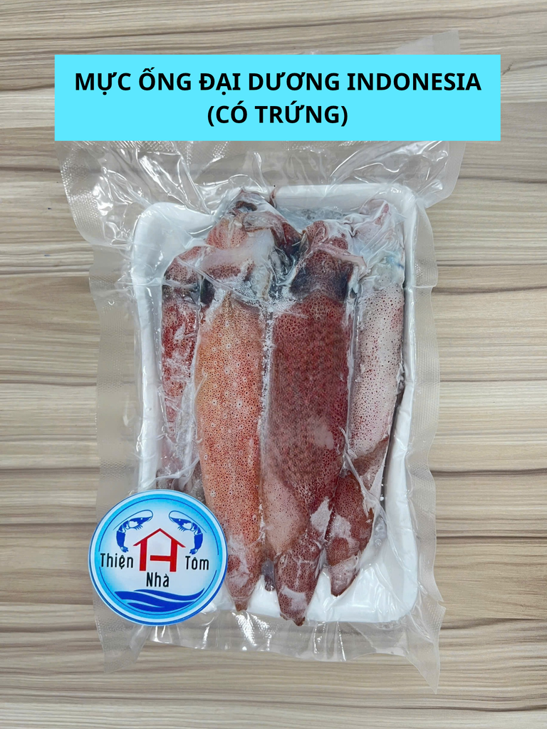  Mực Ống Đại Dương Indonesia 