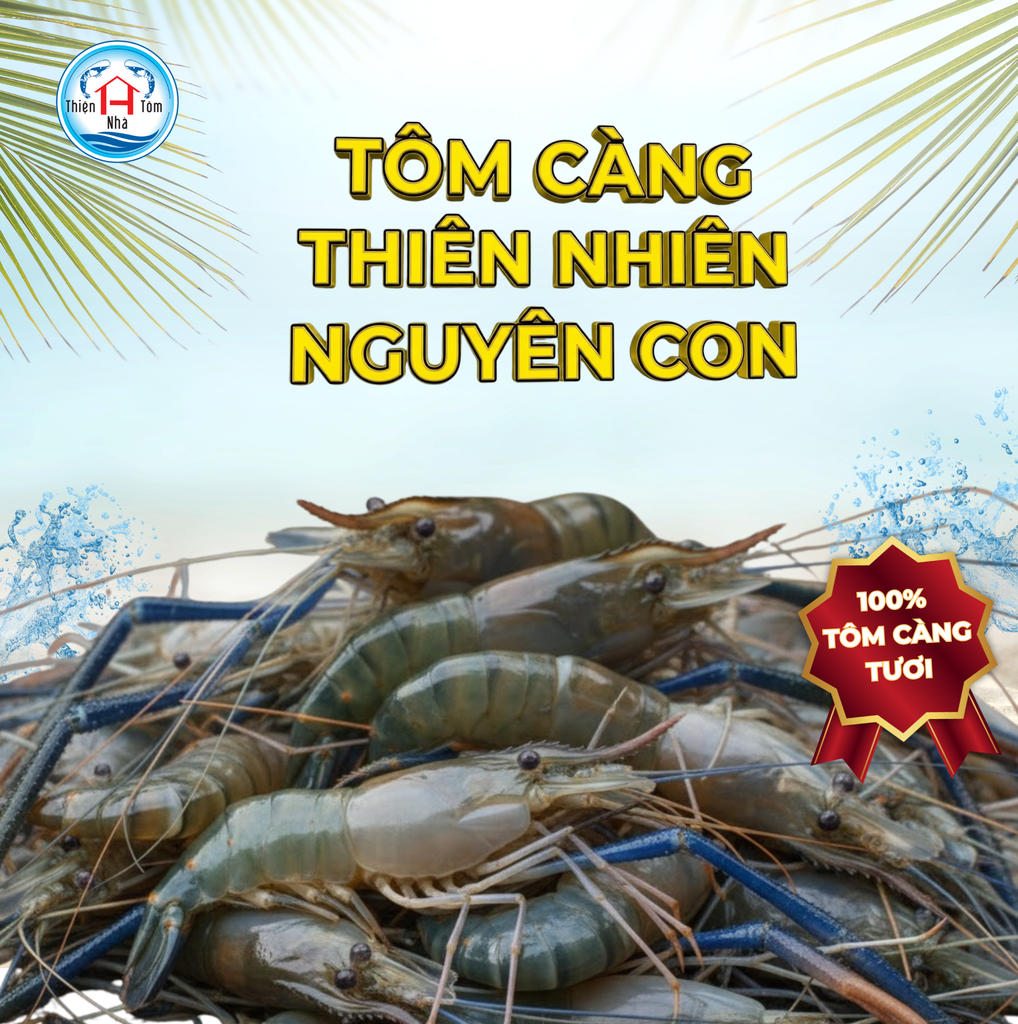  Tôm Càng Thiên Nhiên Nguyên Con 