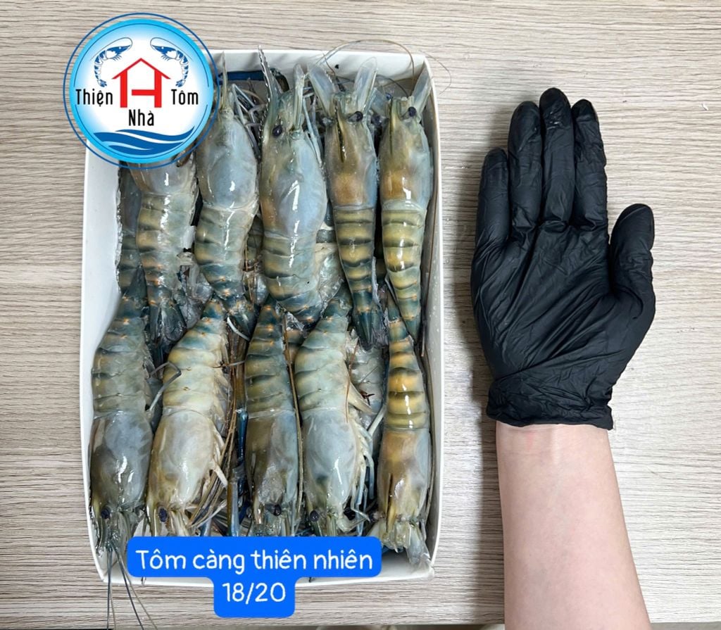  Tôm Càng Thiên Nhiên Nguyên Con - Hộp 1kg 