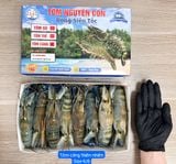  Tôm Càng Thiên Nhiên Nguyên Con - Hộp 1kg 