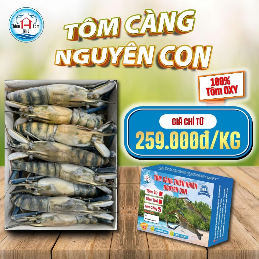  Tôm Càng Thiên Nhiên Nguyên Con - Hộp 1kg 