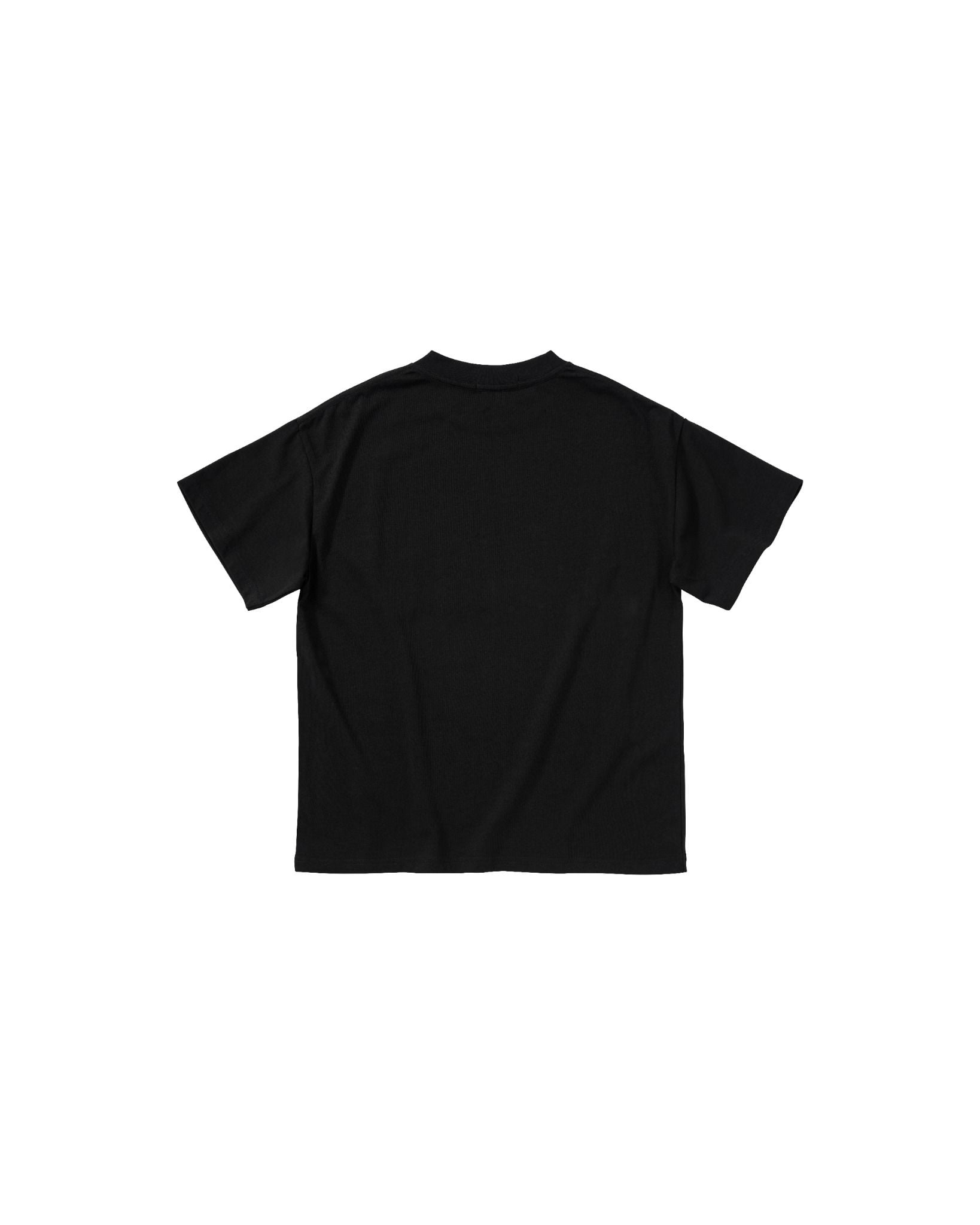 BLANK T-SHIRT