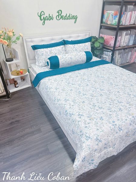  Modal Thanh Liễu Coban 