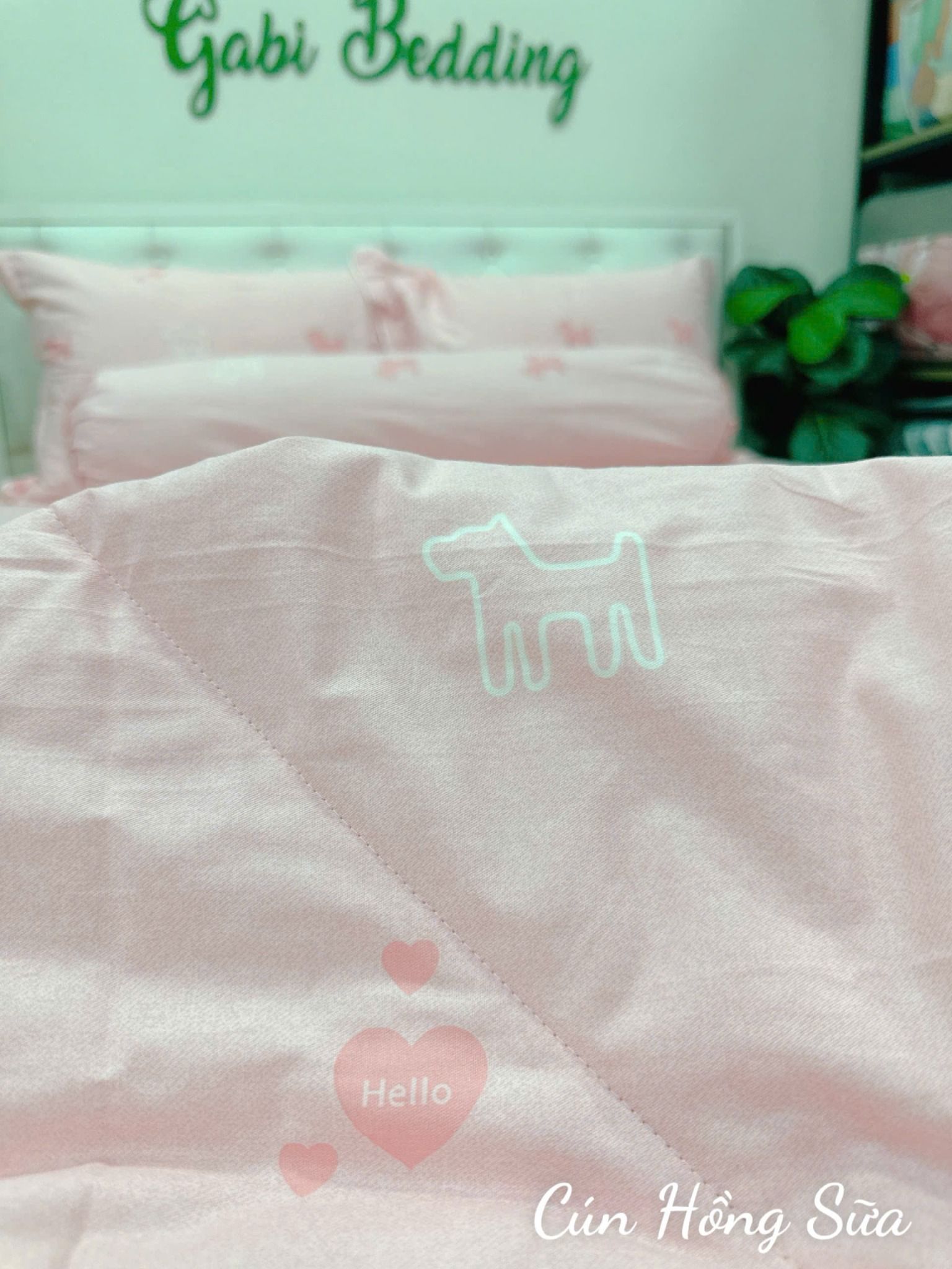  Cotton Cún Hồng Sữa 