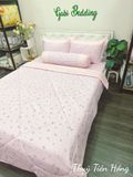  Satin Thủy Tiên Hồng 
