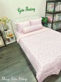  Satin Thủy Tiên Hồng 