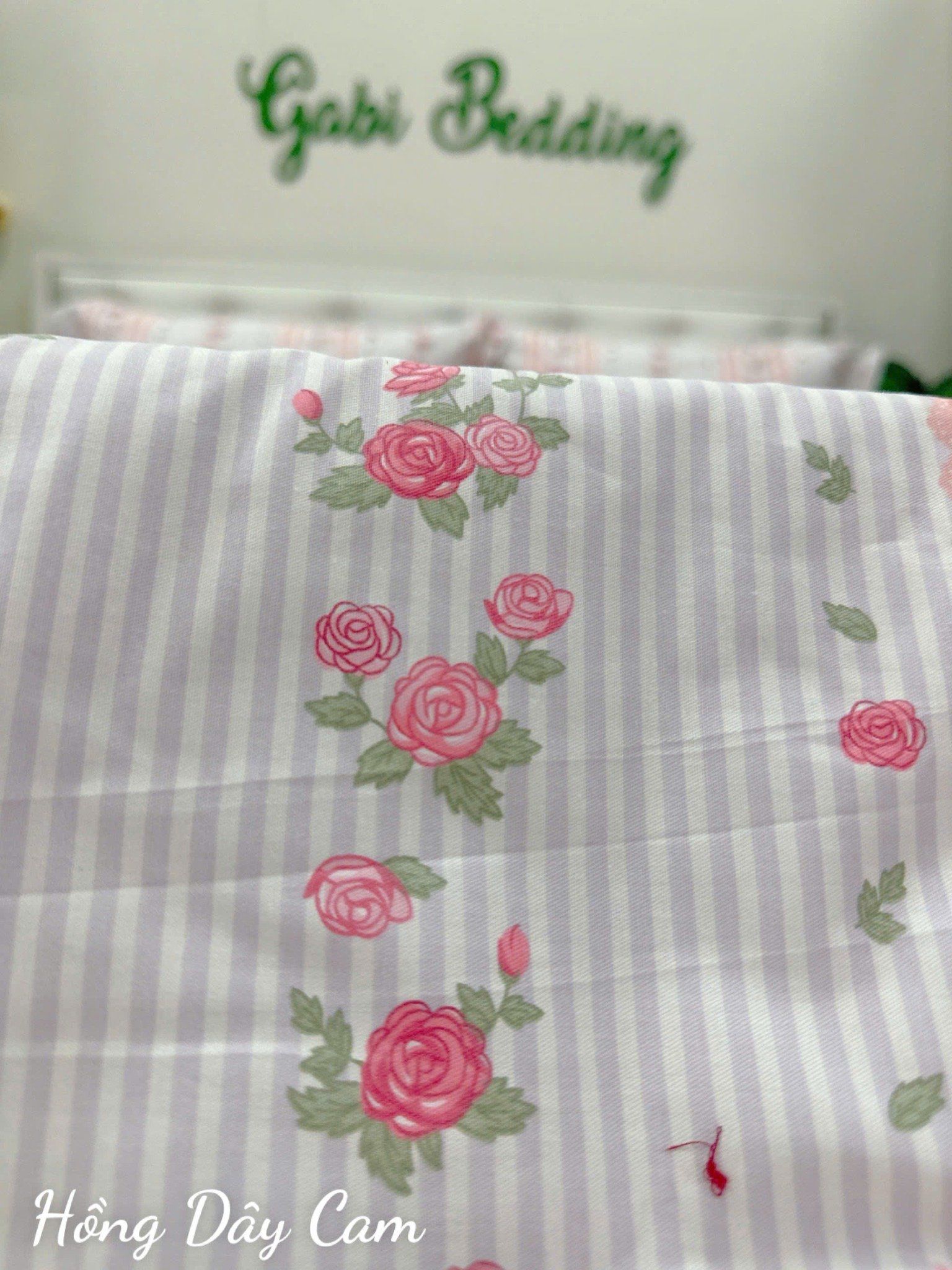  Cotton Hồng Dây Cam 