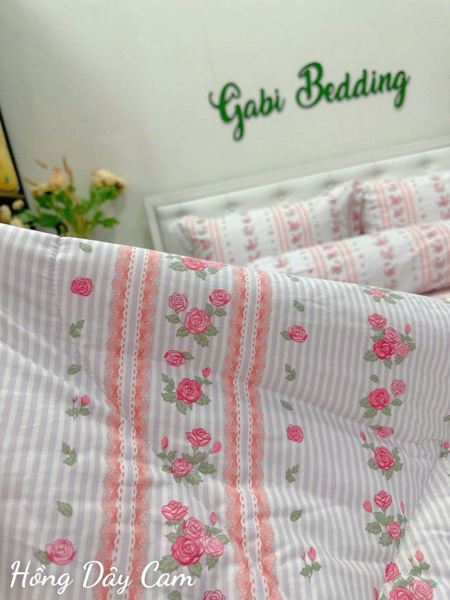  Cotton Hồng Dây Cam 