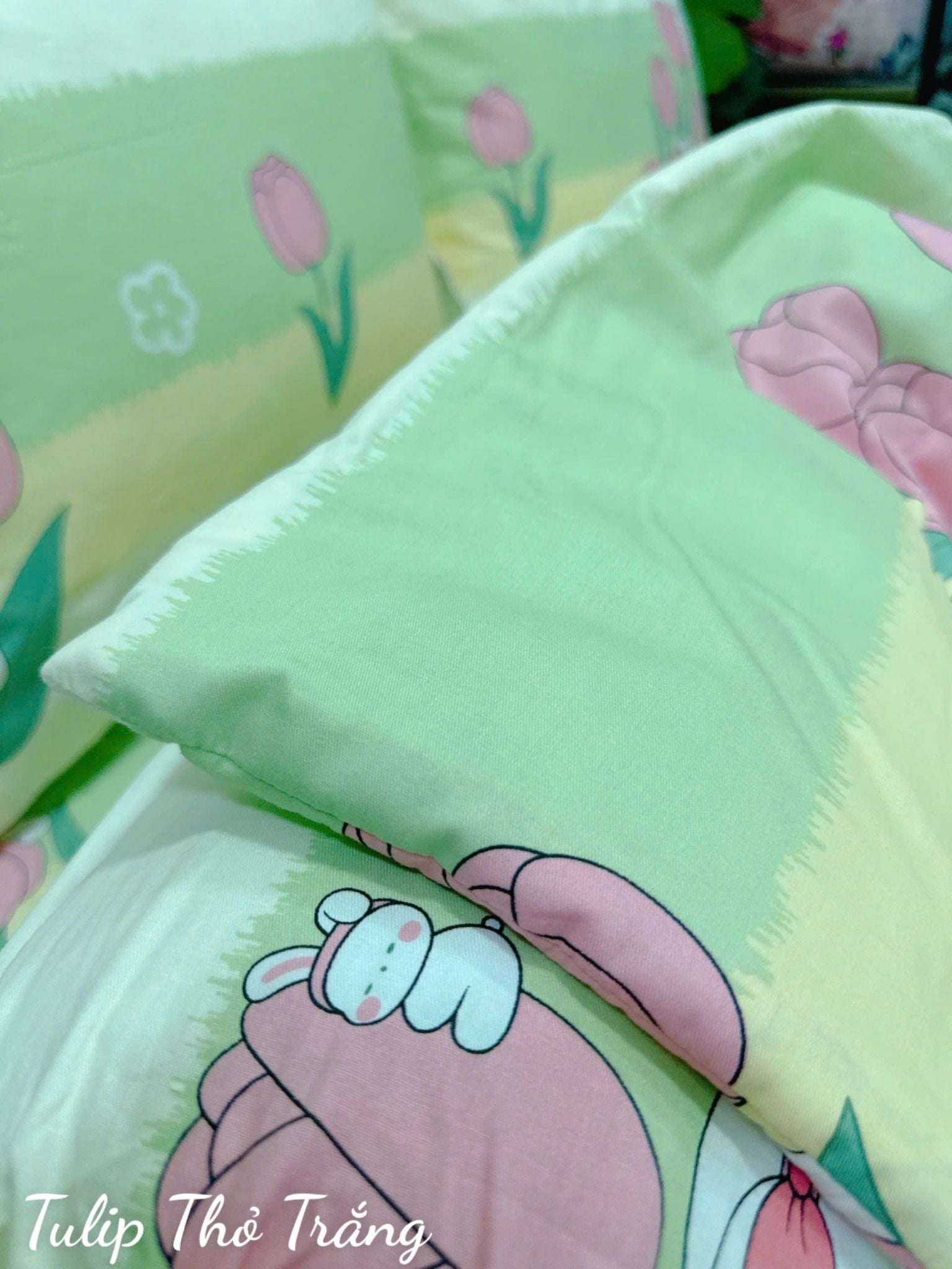  Cotton Tulip Thỏ Trắng 