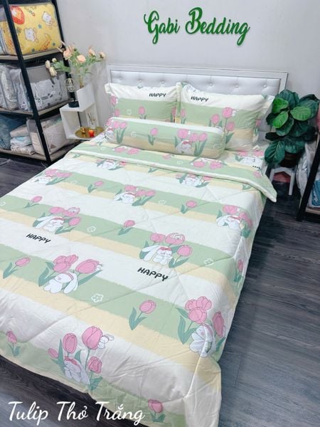  Cotton Tulip Thỏ Trắng 