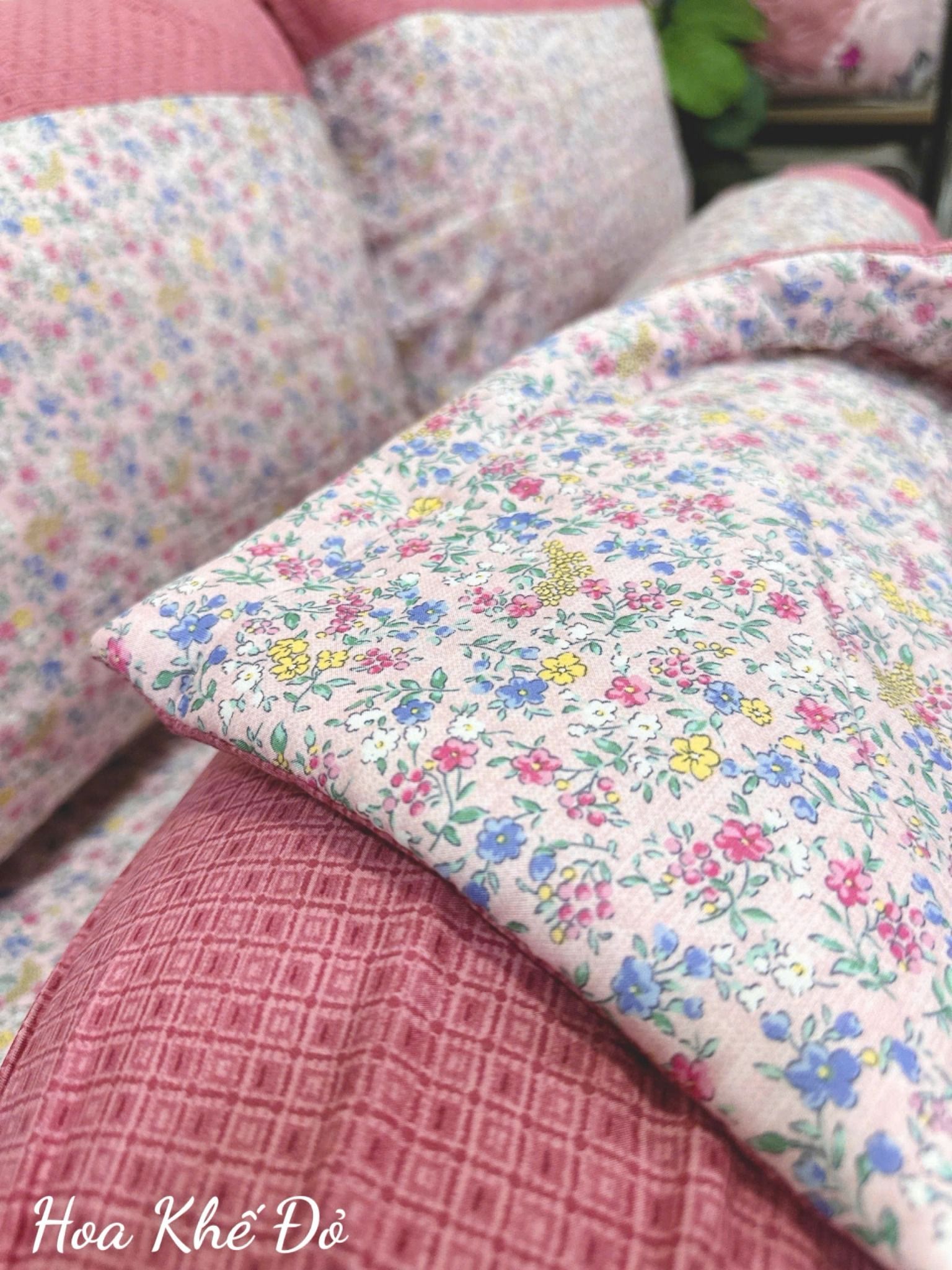  Modal Hoa Khế Đỏ 