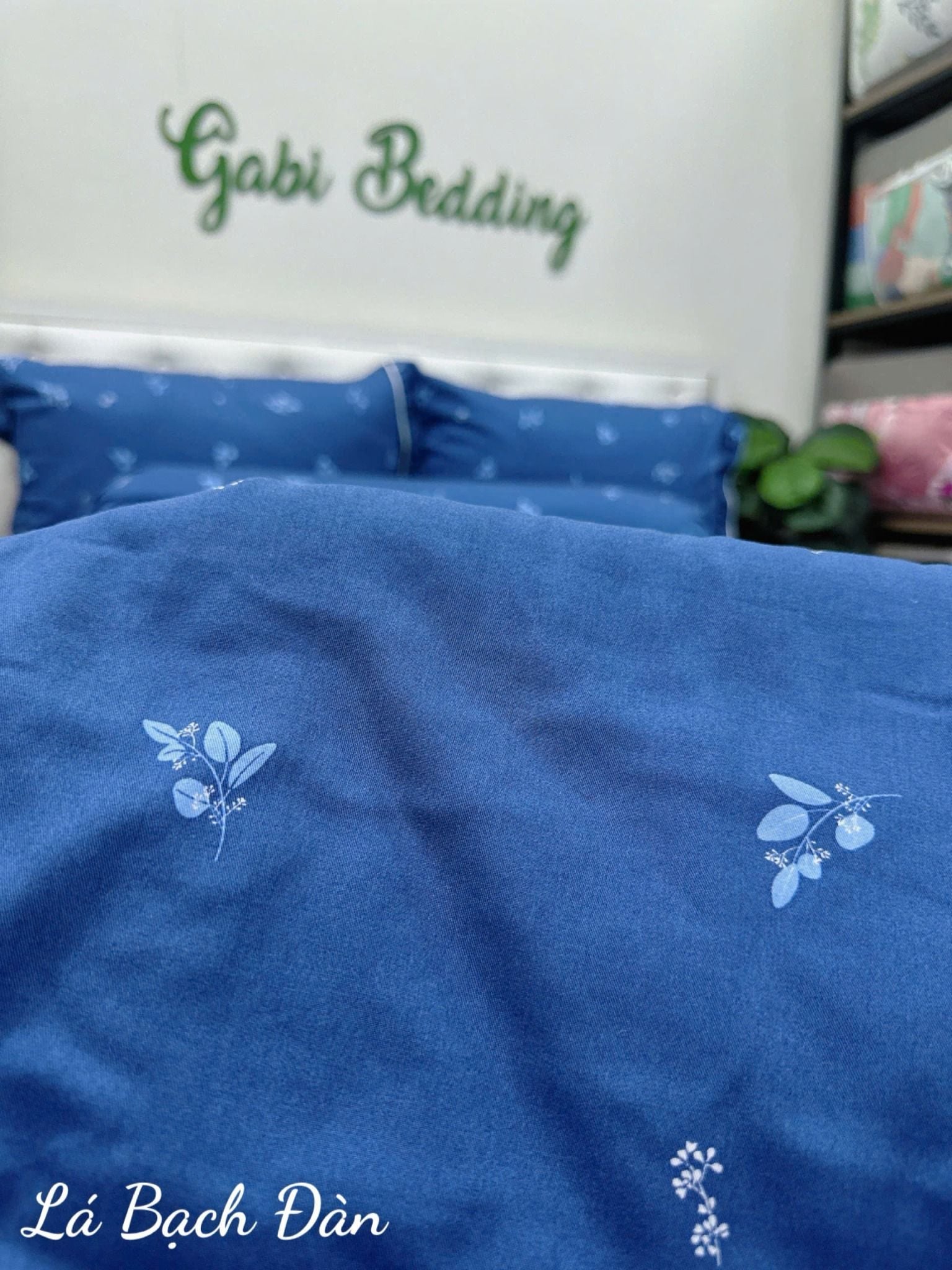  Modal Lá Bạch Đàn 