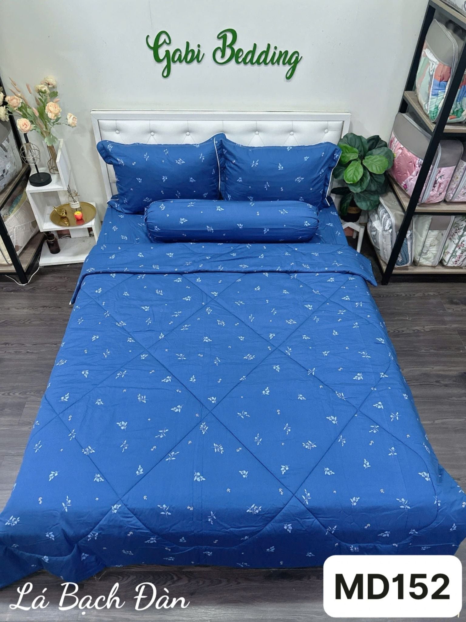  Modal Lá Bạch Đàn 