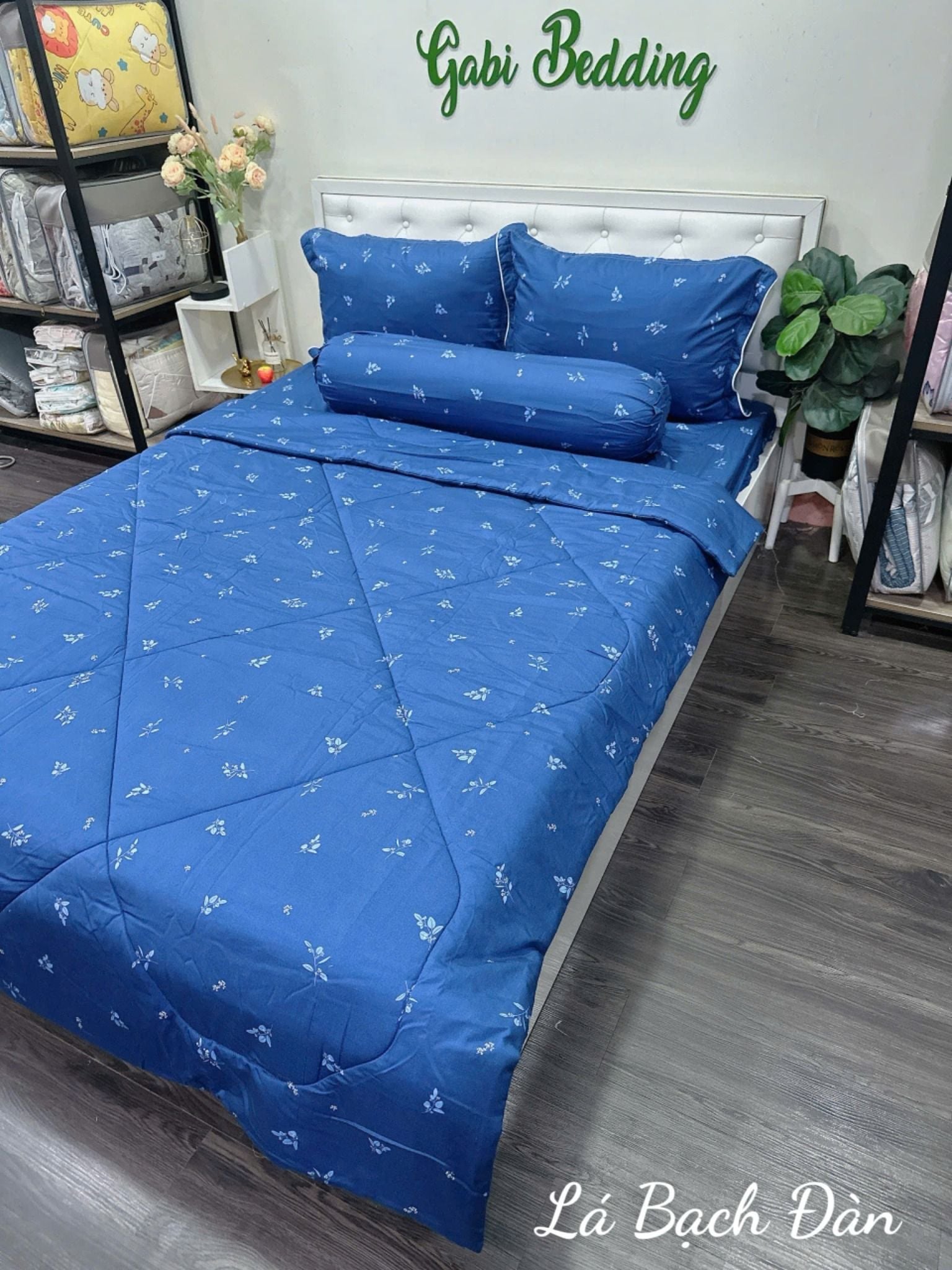  Modal Lá Bạch Đàn 