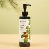  Dầu gội Bồ kết Tơ tằm - 95% từ thiên nhiên, ngăn rụng tóc, sạch gàu ngứa 