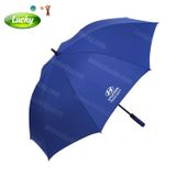 Dù gấp 2 xanh dương