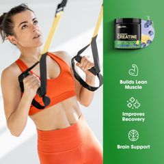 ON Micronized Creatine