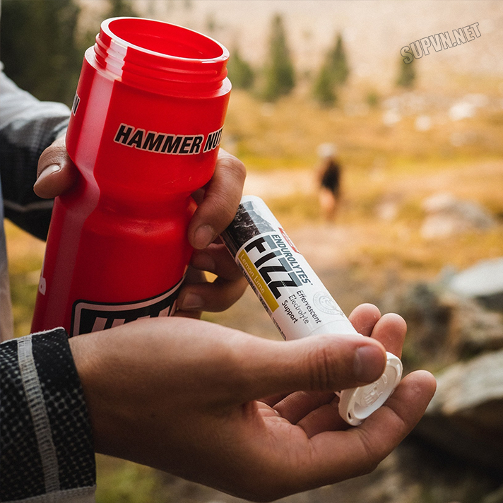 Endurolytes Fizz - Viên Sủi Điện Giải Hammer Nutritrion