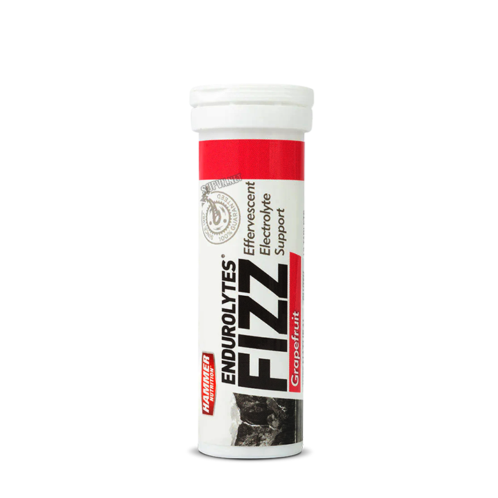 Endurolytes Fizz - Viên Sủi Điện Giải Hammer Nutritrion