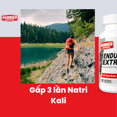 Endurolytes's Extreme - Viên Muối Hammer Nutrition