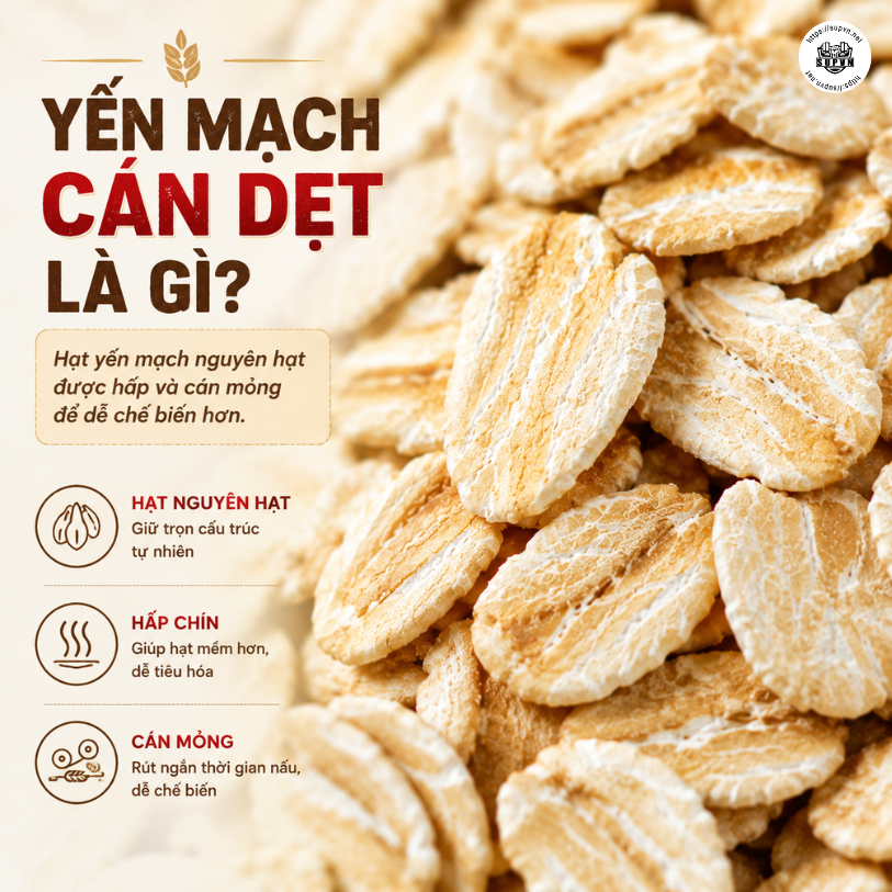 Yến Mạch Innovation Daily Oats 4.52kg - Old Fashioned