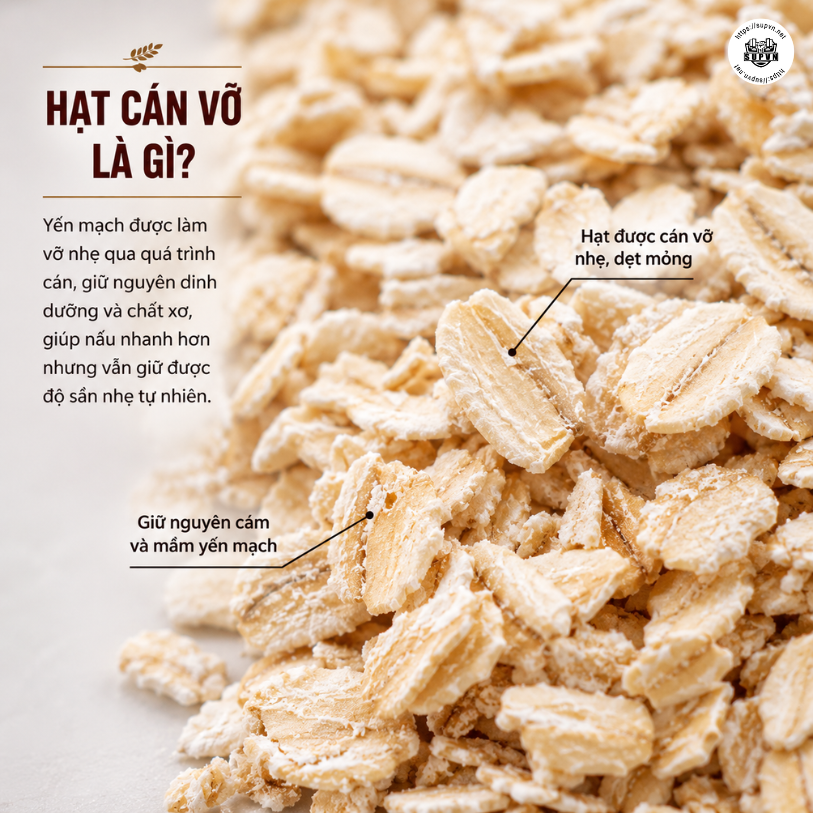 Yến Mạch Innovation Daily Oats 4.52kg - Quick Minute