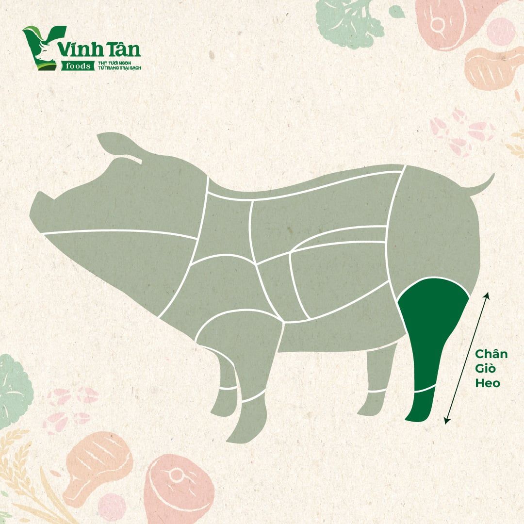  CHÂN GIÒ RÚT XƯƠNG 